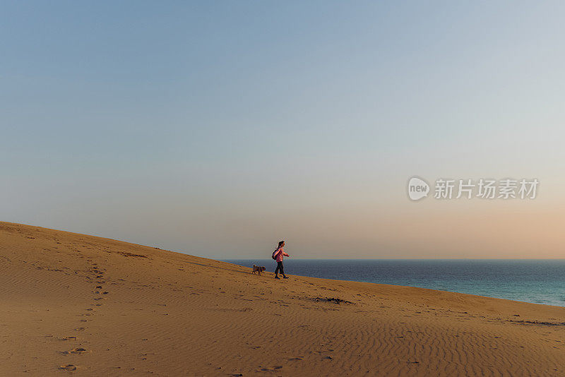 在土耳其，一个带着狗的女人在海边的沙丘上凝视着风景优美的日落