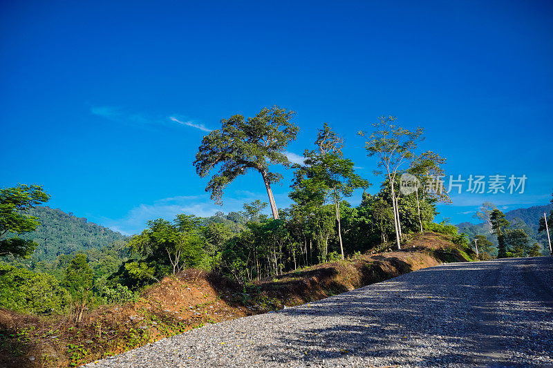 土路穿过田野，背景是山脉