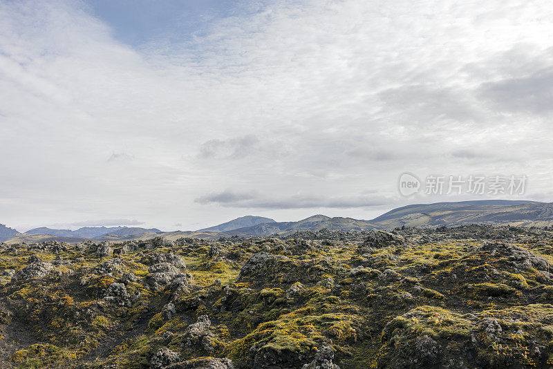 冰岛Landmannalaugar附近的熔岩田