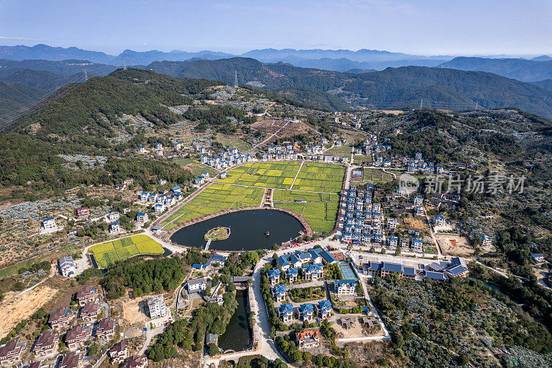 乡村人工湖边油菜花田鸟瞰图