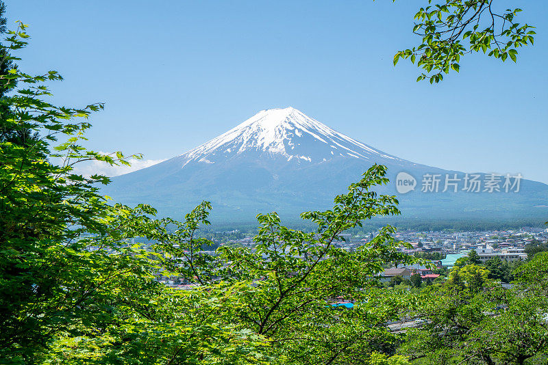 春天的富士山