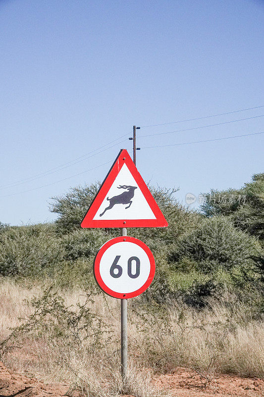 纳米比亚Otjozondjupa地区Omboroko山脉附近的限速标志