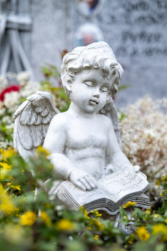 坟墓上有一本书的天使雕像。