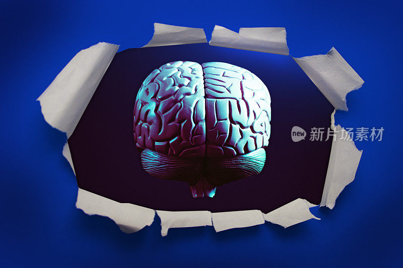 人类的大脑从纸上撕破的洞里露出来，边缘参差不齐，蓝色的背景