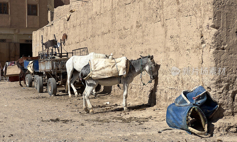 IMG_4703驴停车场，⁨Rissani⁩，⁨摩洛哥