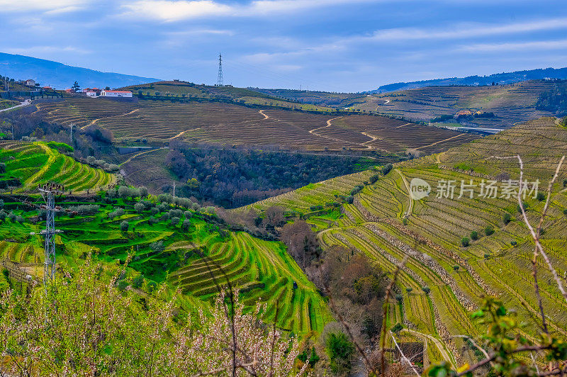 杜罗河谷景观