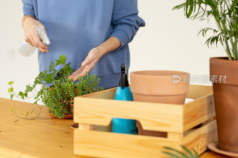 女人正在花盆里种花