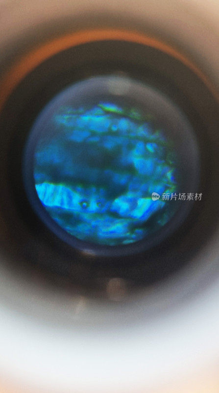 显微镜下细胞的特写镜头。科学