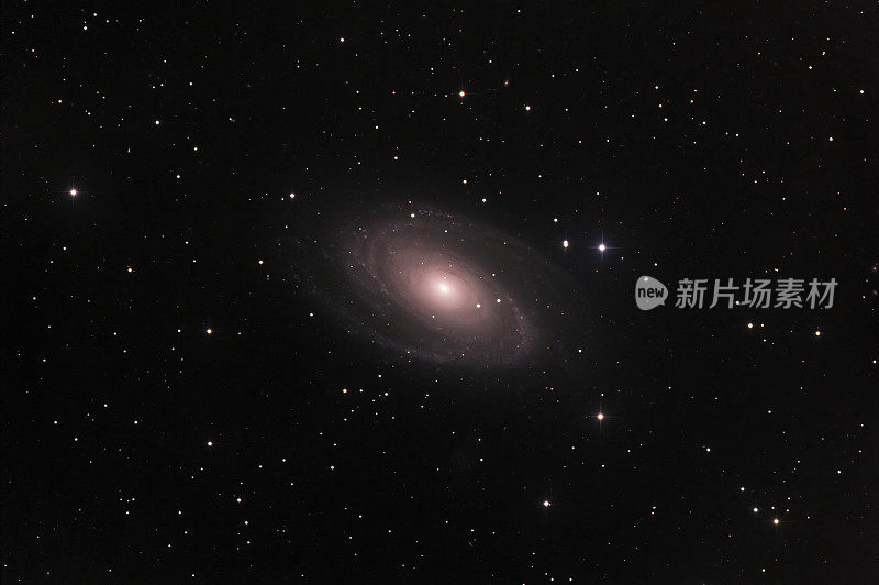 星系M81