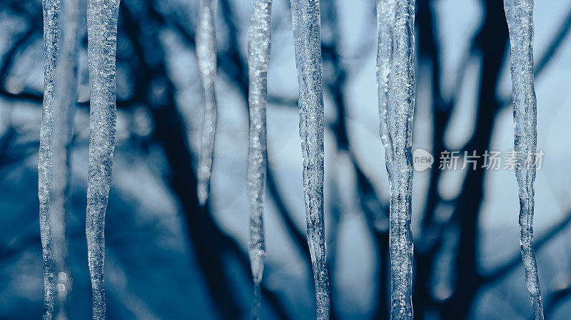 明亮的冰柱悬挂在晴朗的日子里。冬季概念冰背景