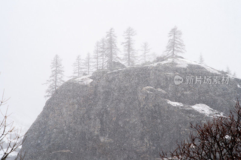 大岩石和冷杉树下的雪在山上