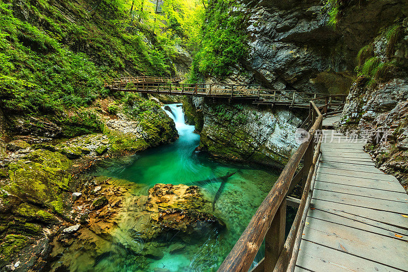 温加峡谷和绿色河流，布莱德，特里格拉夫-斯洛文尼亚
