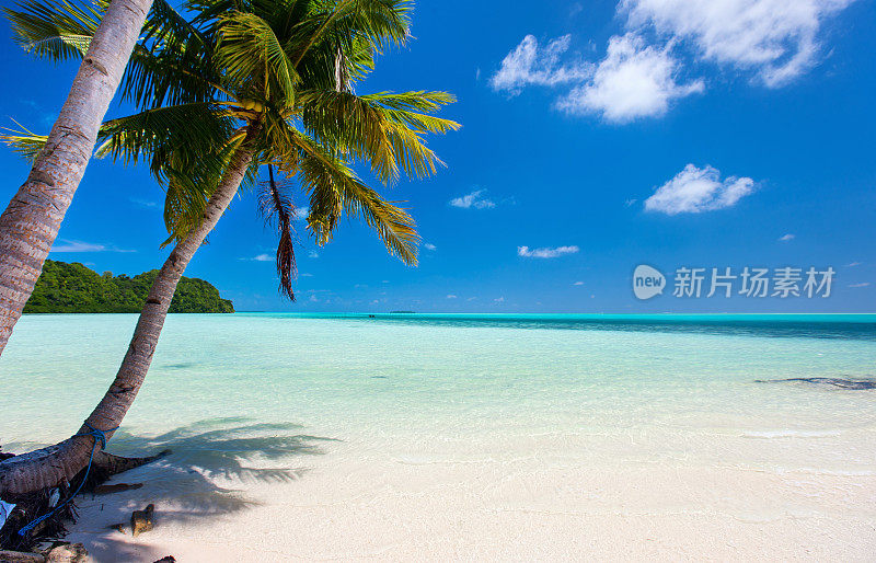 美丽的热带海滩在异国情调的岛屿在太平洋