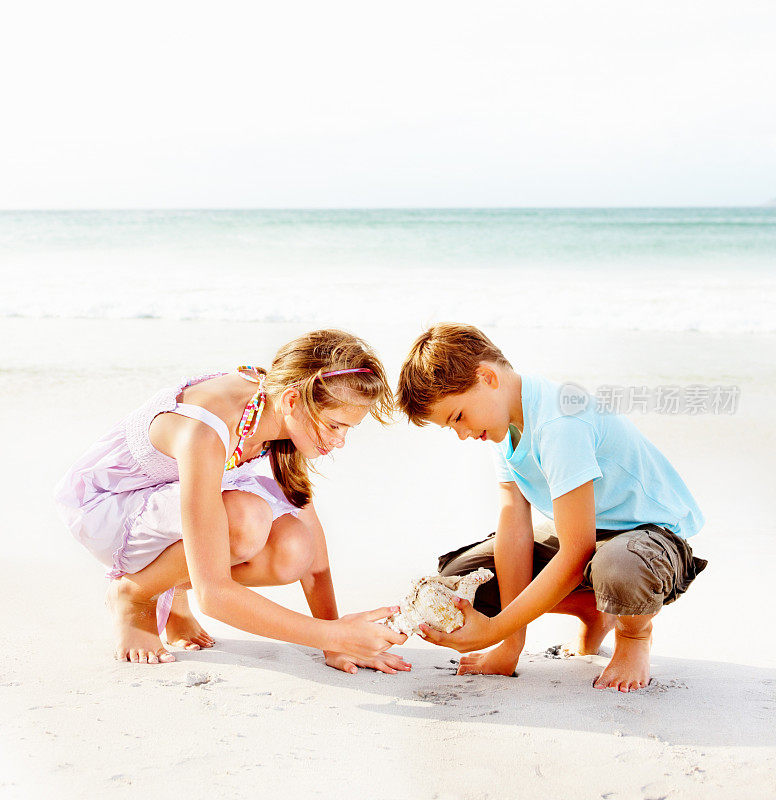 孩子们在海滩上玩海螺壳