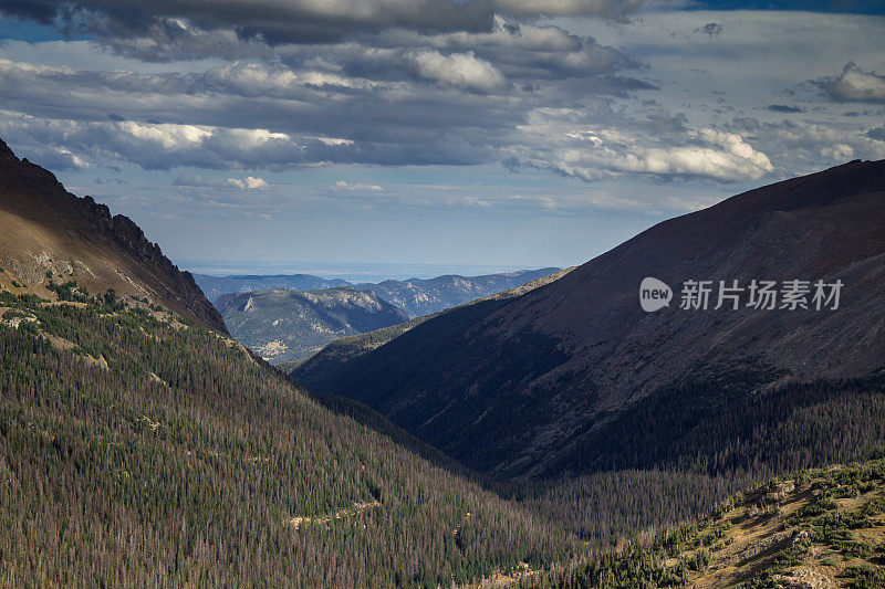 落基山脉的森林山坡