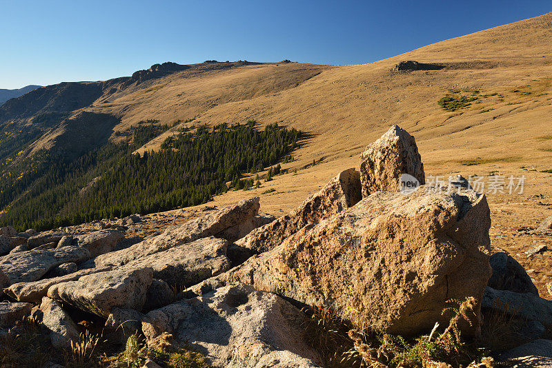 落基山脉森林峡谷的岩层