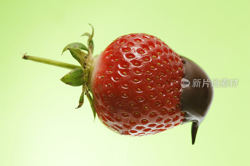 草莓，黑比利时巧克力，绿色