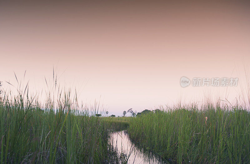 博茨瓦纳奥卡万戈三角洲的日出
