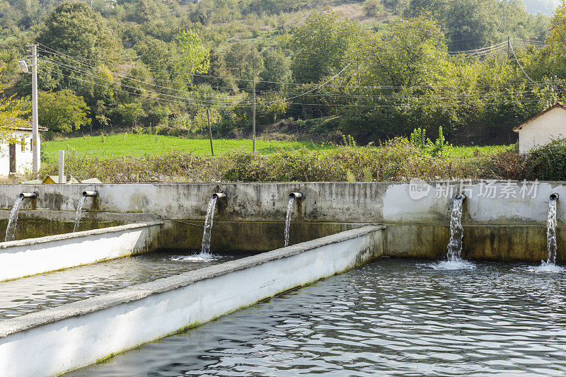 鳟鱼养殖场水池在土耳其的sakarya