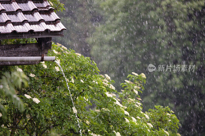 夏雨在瑞士的屋顶和灌木丛中倾盆而下