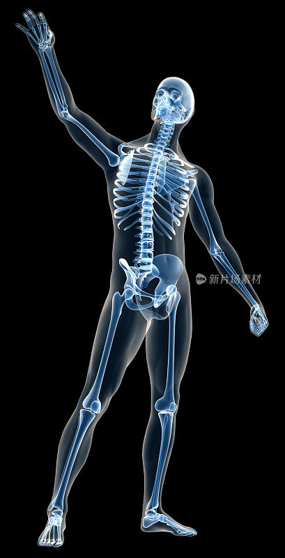 用x光照射人体骨骼进行研究