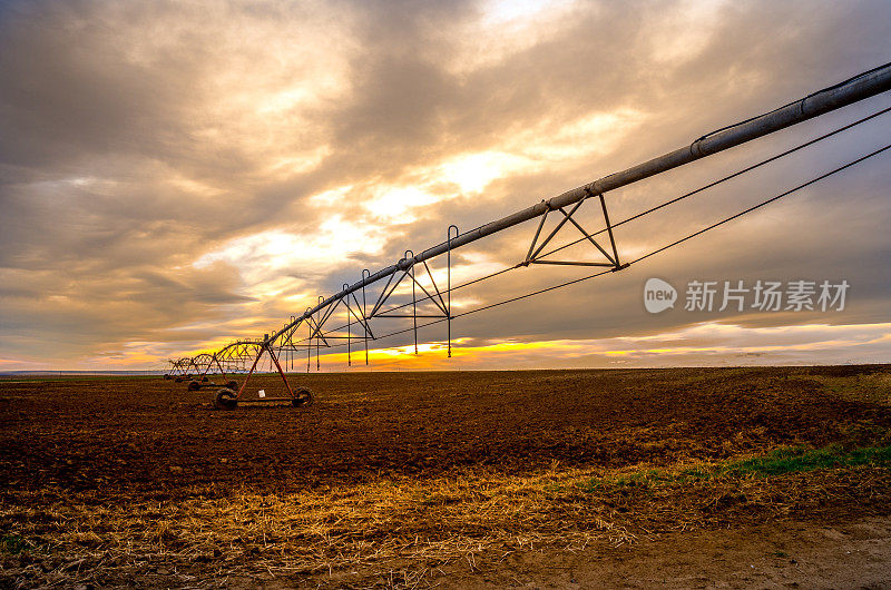 日落时分，西澳麦田上的灌溉支点系统