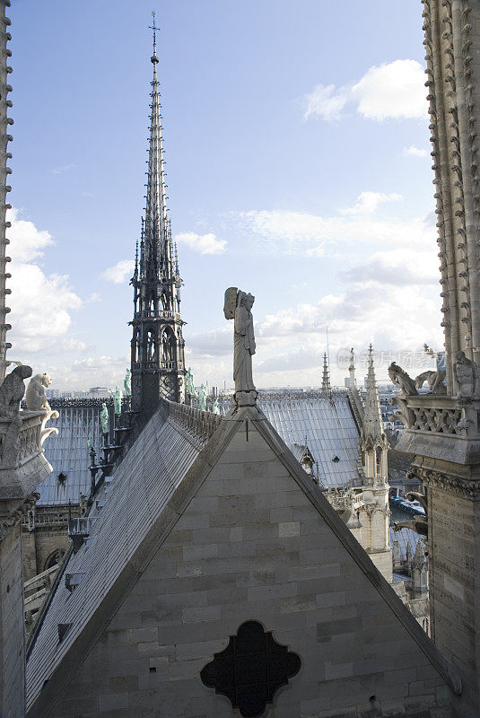 巴黎圣母院的屋顶