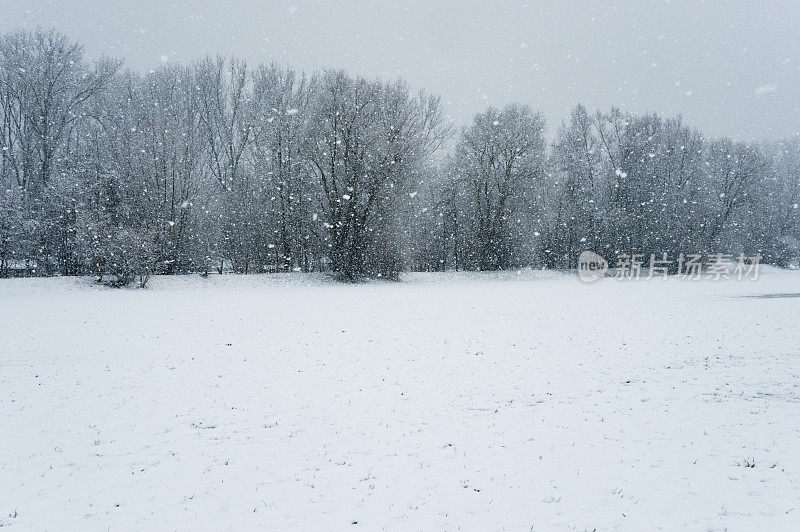 降雪