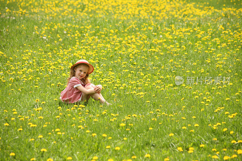 小女孩坐在长满蒲公英的草地上。