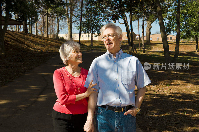 快乐的老年夫妇在公园散步在夏天