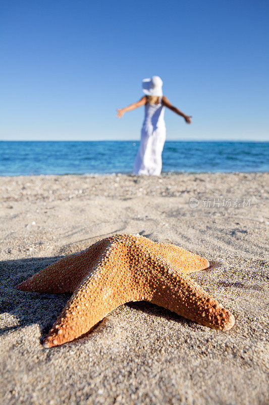 海边的女人和海星