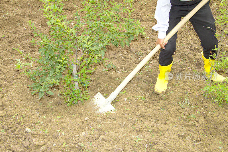 男人在花园里用手铲土