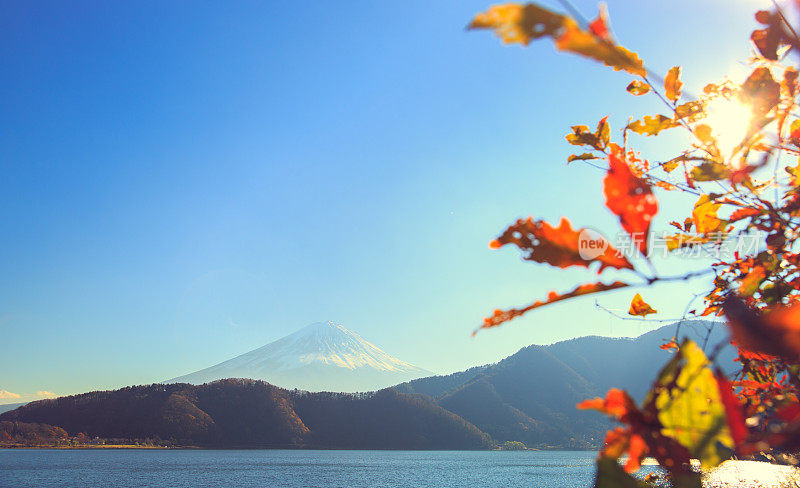 富士山和川口湖