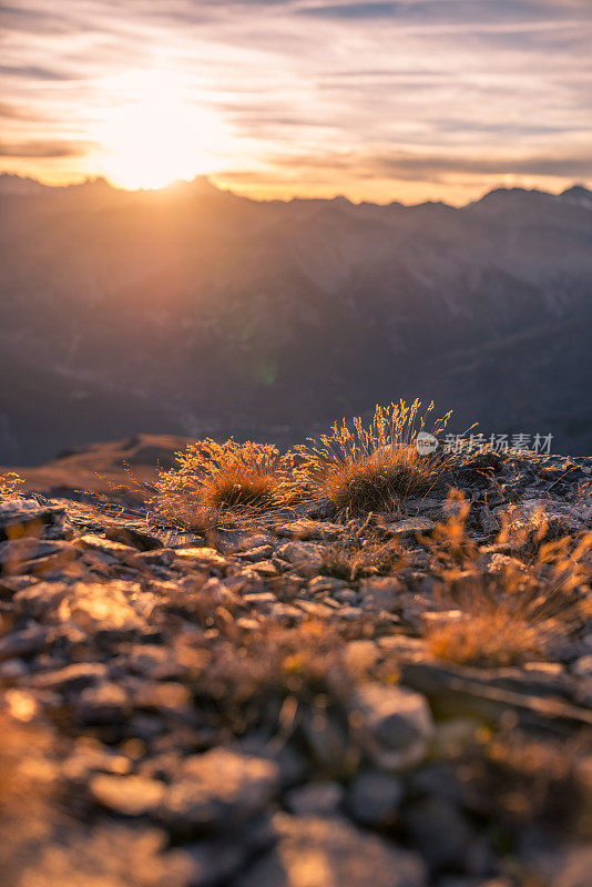 夕阳在山