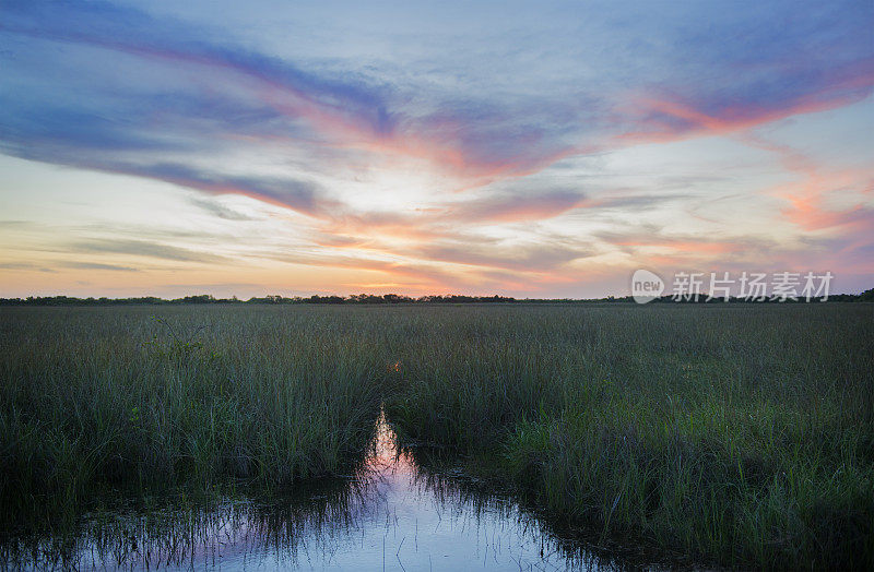 日落在风景优美的大沼泽地国家公园地平线