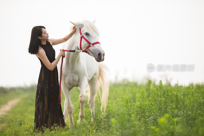 本质上的女人和马