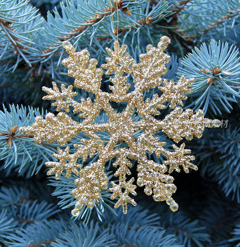 金色的雪花