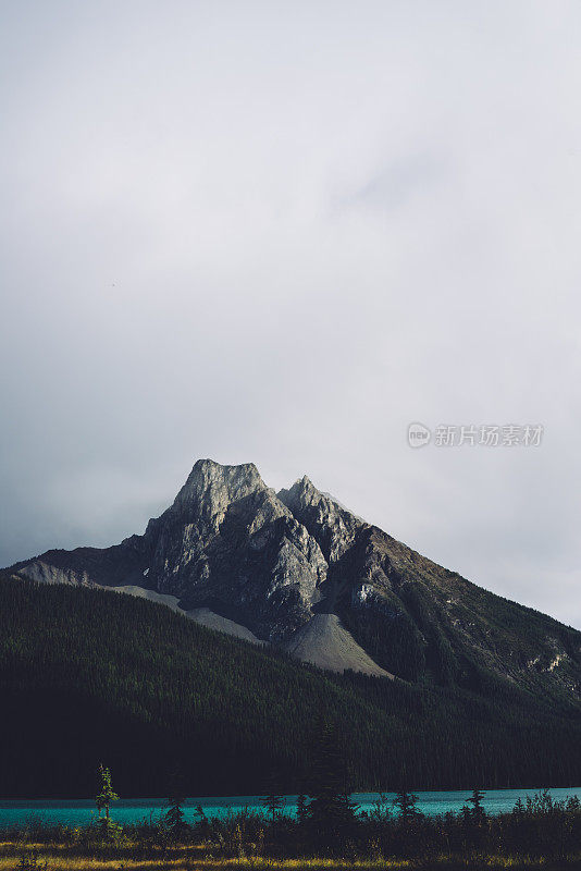 美丽的山川和树木