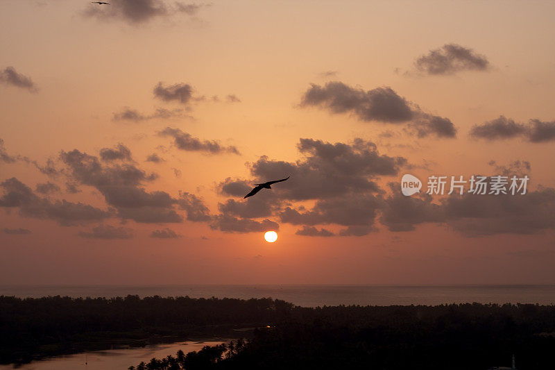 江海与地平