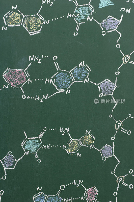 黑板上DNA的化学式