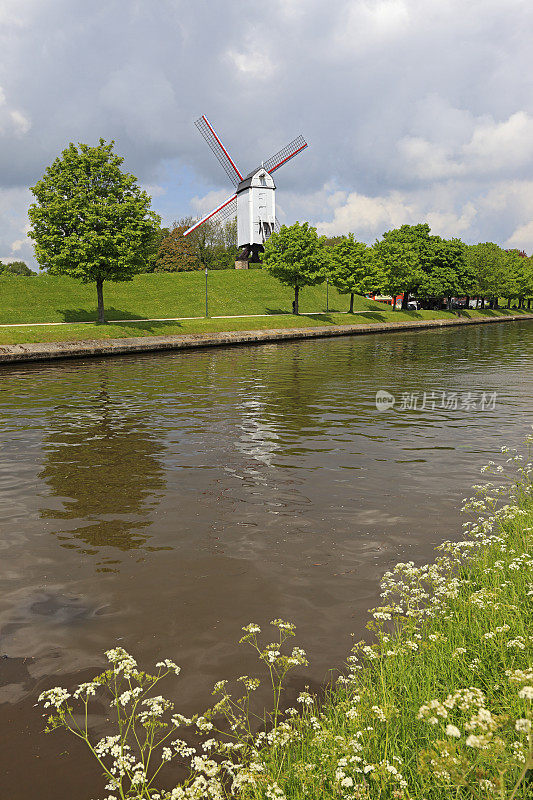 布鲁日(布鲁日)有运河和鲜花的风车