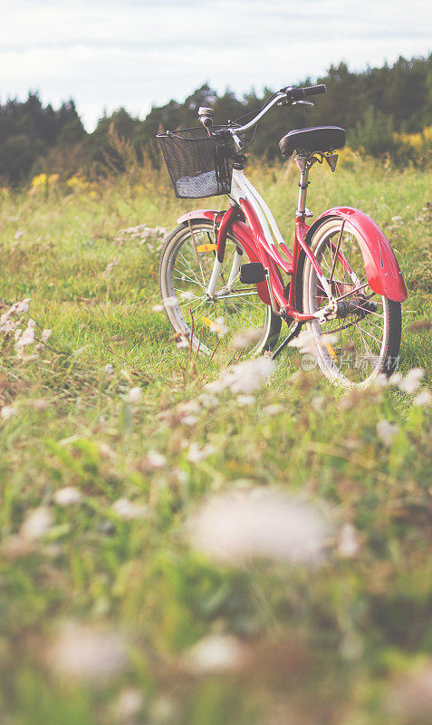 在一个阳光明媚的日子里，一辆红色的老式自行车停在草地上
