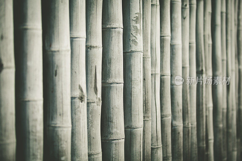竹子的背景