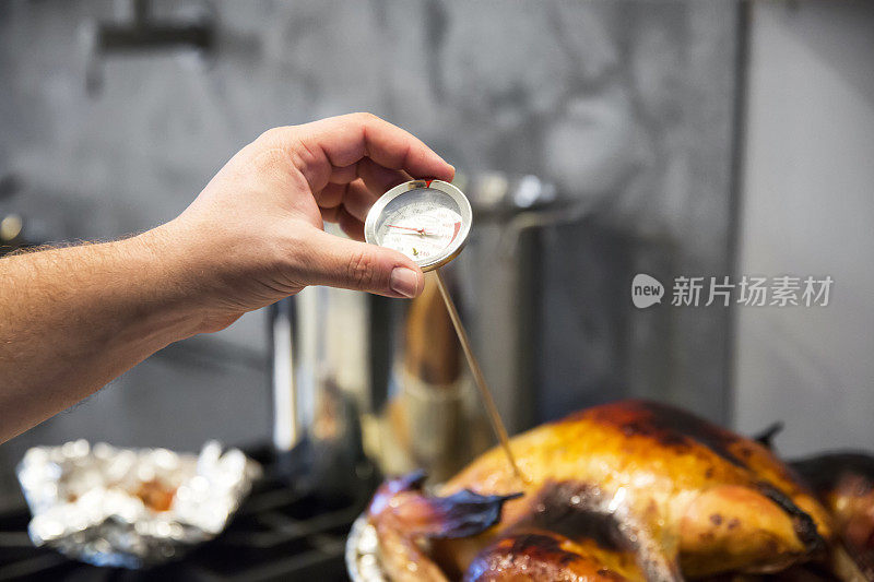 用肉温度计测试感恩节火鸡的熟度