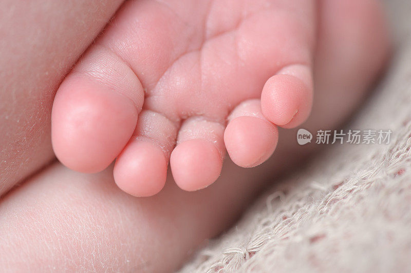婴儿脚趾的特写