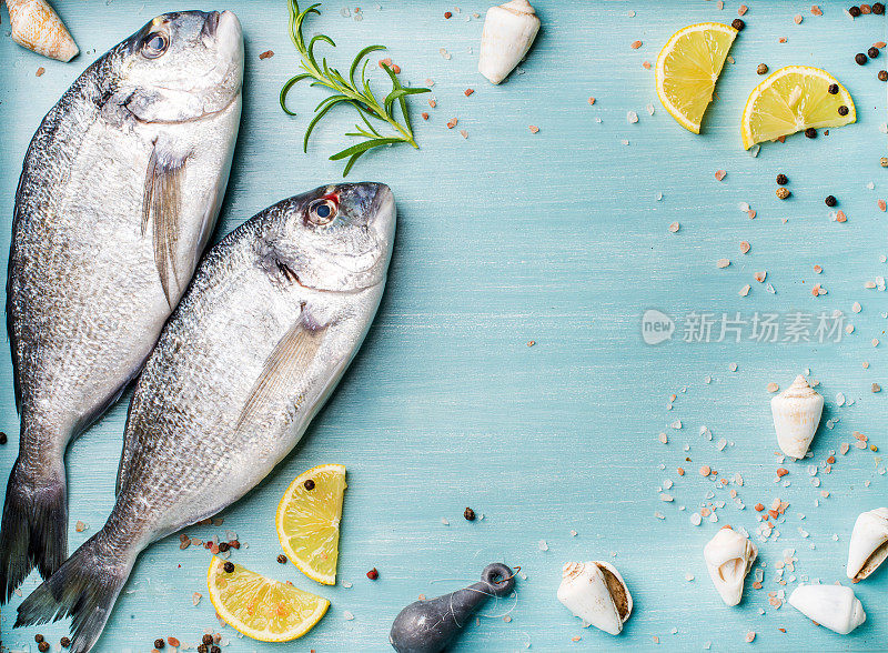 新鲜的生海鲷鱼装饰柠檬片，香草和贝壳在蓝色的木制背景，复制空间