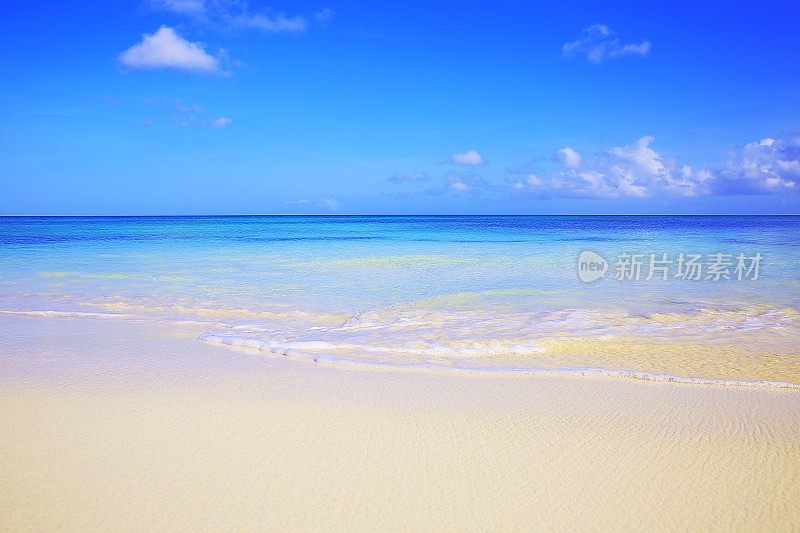 田园诗般的岚热带绿松石海滩，阿鲁巴-阳光蓝色泻湖，夏天的天堂，荷属安的列斯群岛，加勒比海蓝色的海