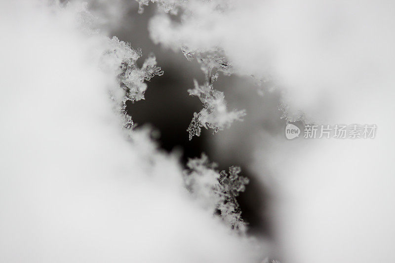 雪晶体近宏