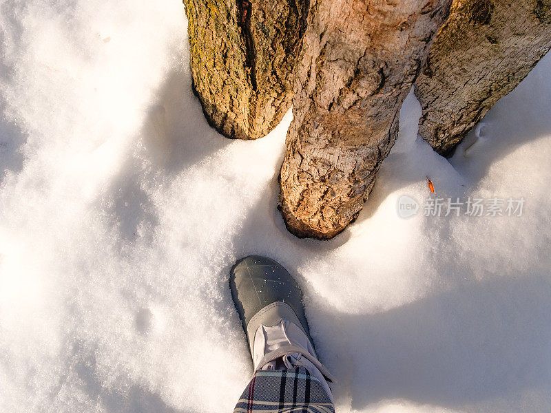 看到一条穿着灰色雪地靴的腿，旁边是一棵树干