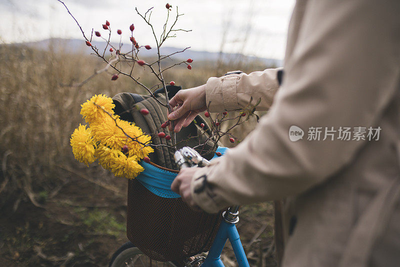 复古自行车与花的景观背景